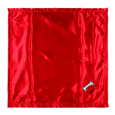 Arkansas Razorbacks Silky and Super Soft Plush Baby Blanket, 28" x 28"