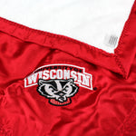 Wisconsin Badgers Silky and Super Soft Plush Baby Blanket, 28" x 28"