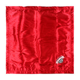 Wisconsin Badgers Silky and Super Soft Plush Baby Blanket, 28" x 28"