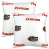 Florida Gators Decorative Pillow