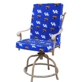 Kentucky Wildcats Two Piece Chair Cushion