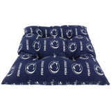 Penn State Nittany Lions Rocker Pad/Chair Cushion or Small Pet Bed