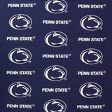 Penn State Nittany Lions Two Piece Chair Cushion