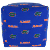 Florida Gators Cube Cushion