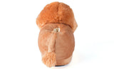Lion Slippers