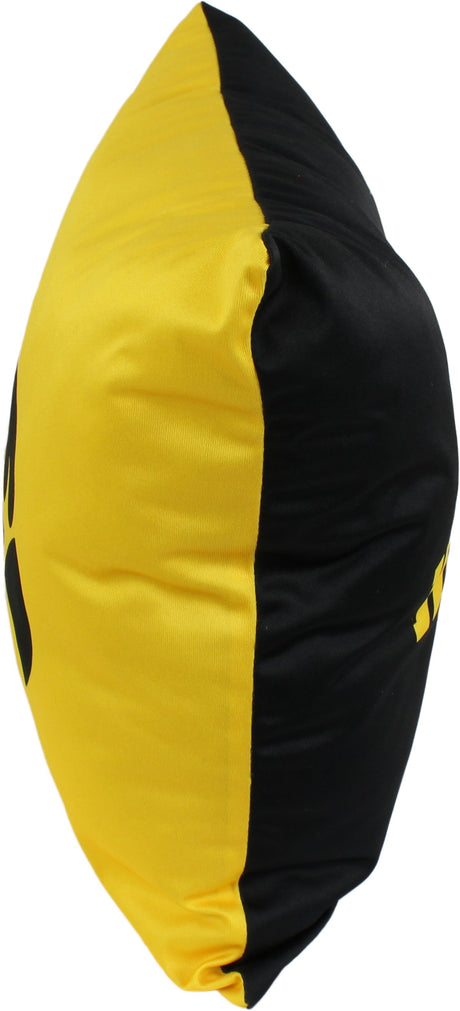Iowa Hawkeyes 2 Sided Decorative Pillow, 16" x 16", Made in the USA
