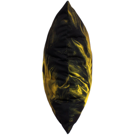 Iowa Hawkeyes 2 Sided Color Swept Decorative Pillow, 16" x 16"