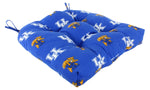 Kentucky Wildcats D Cushion 20" x 20"