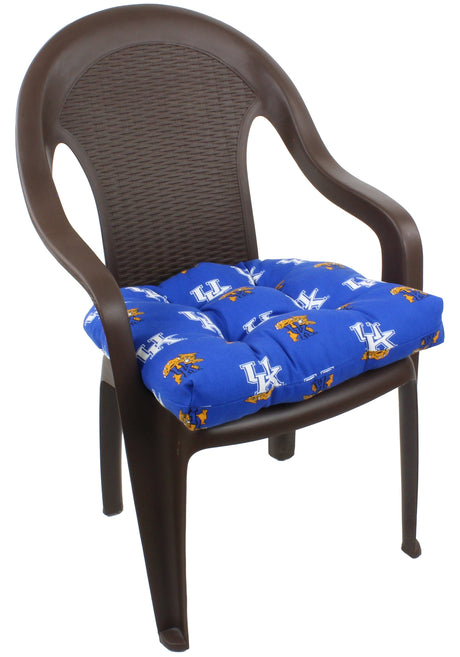Kentucky Wildcats D Cushion