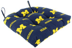 Michigan Wolverines D Cushion