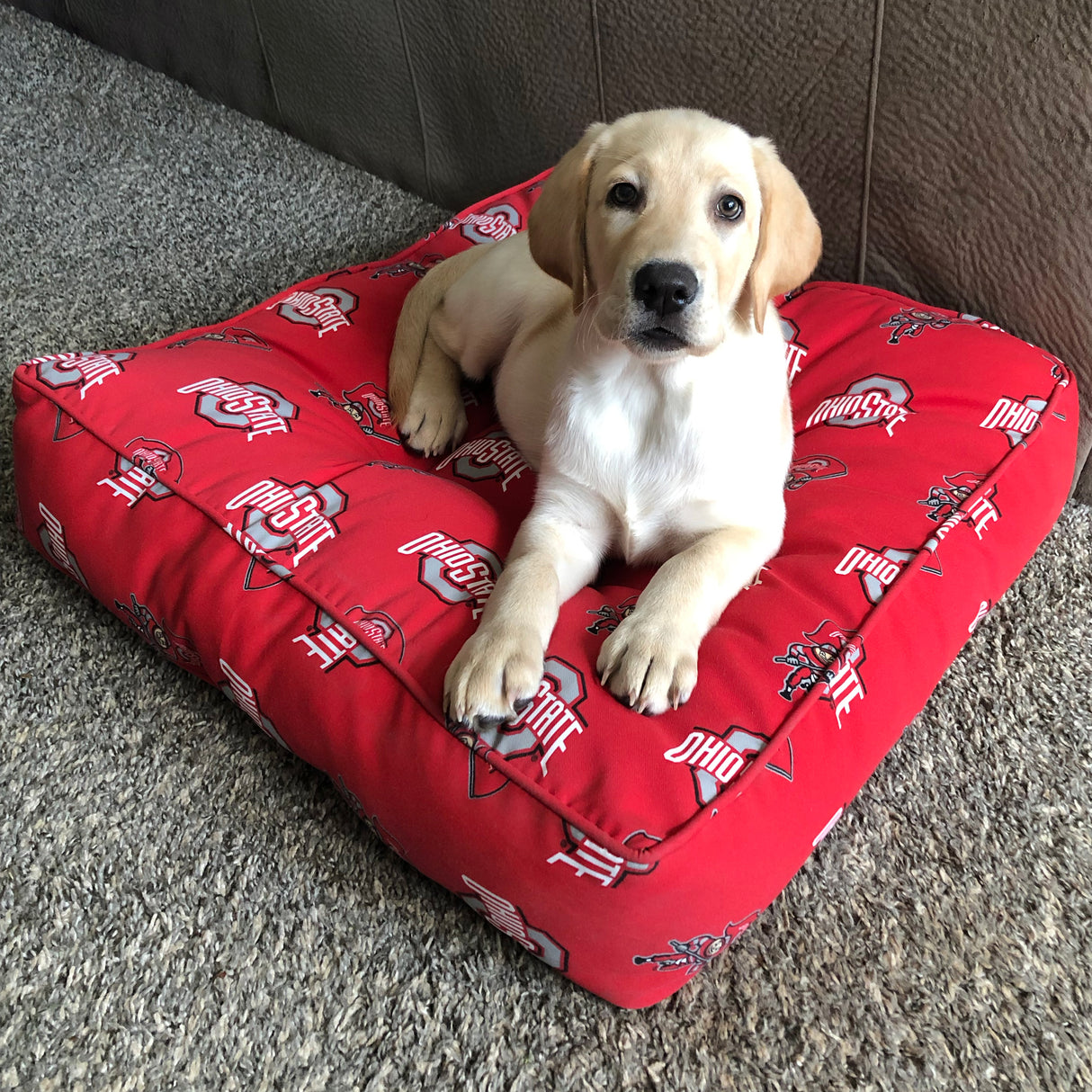 Clemson Tigers Floor Pillow or Pet Bed, 24" x 24" Square