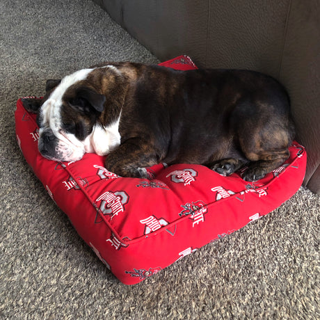Texas Tech Red Raiders Floor Pillow or Pet Bed, 24" x 24" Square