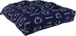Penn State Nittany Lions D Cushion