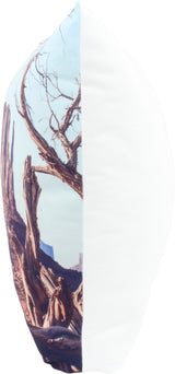Elephant Rock, Monument Valley, Utah, 16" Decorative Pillow, Made in the USA