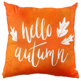 Hello Autumn Double Sided Pillow