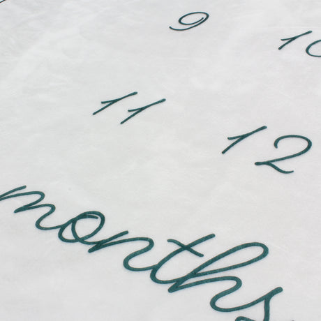 Baby Monthly Milestones Blanket