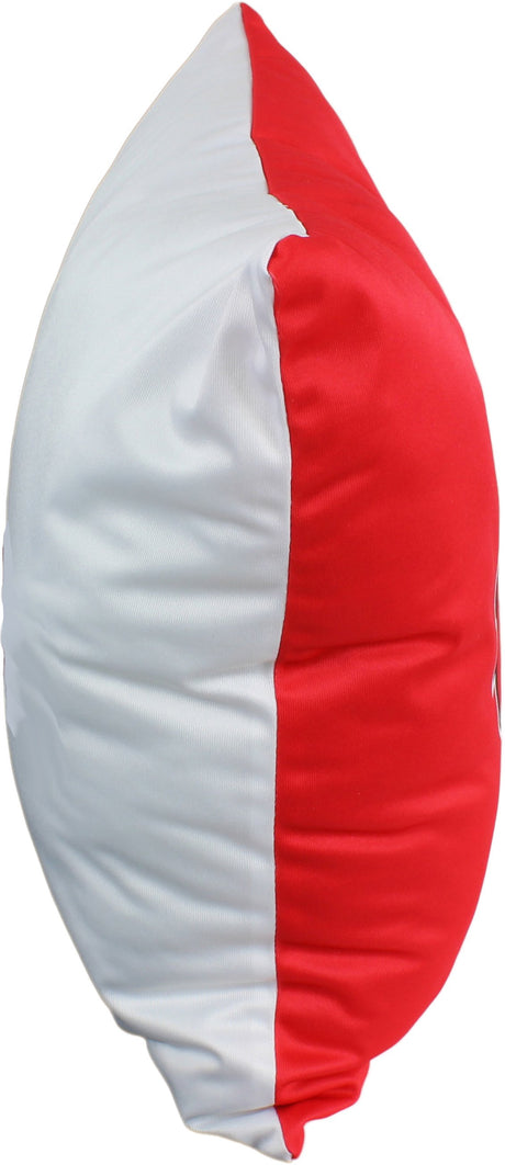 Wisconsin Badgers 2 Sided Decorative Pillow, 16" x 16", Made in the USA